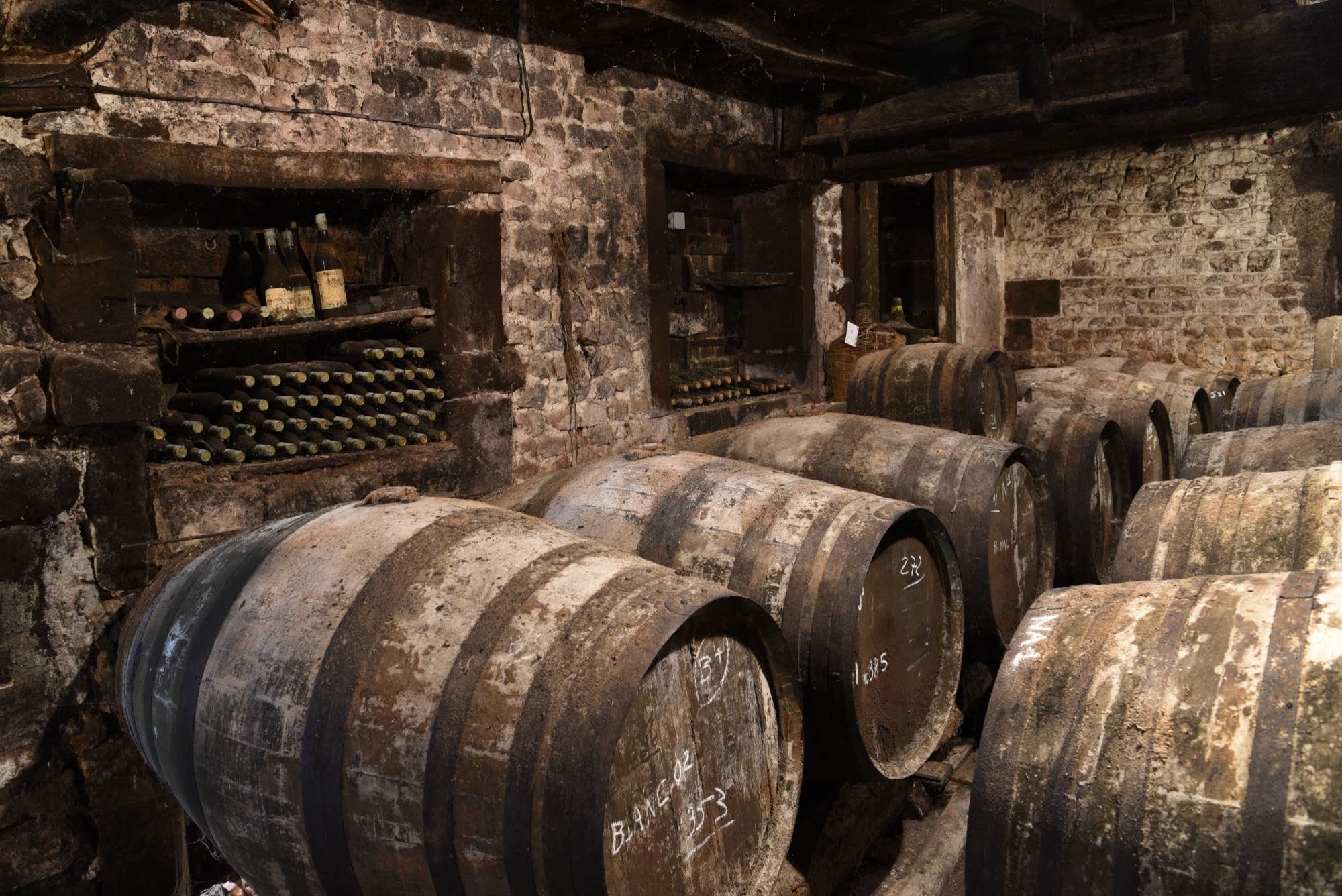 An old stone cellar with oak barrels and dusty bottles resting in wall niches